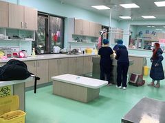-北京观赏动物医院·24小时大型综合·猫专科·异宠专科