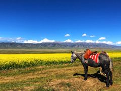 -青海湖国家重点风景名胜区