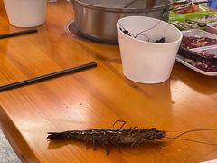 -养牛邓·潮汕牛肉海鲜自助火锅(广州店)