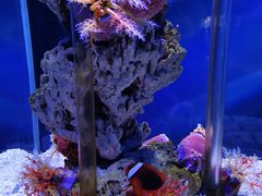 -太平洋海底世界