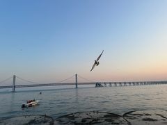 -星海广场