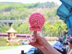 -西双版纳原始森林公园