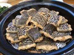 -寻味顺德·南记酒家·传统顺德菜·鱼生(广源路店)