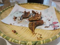 -陶缘一号·四季缘·老字号顺德菜·户外婚礼家宴(西滘店)