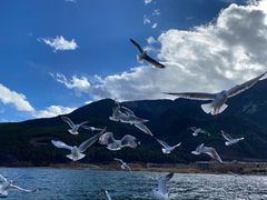 -丽江泸沽湖景区