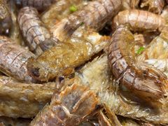 -港畔赶海蒸汽海鲜烧烤自助(仙螺岛店)