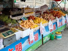 -毕家疃综合市场
