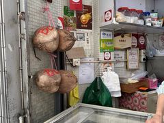 -洪馨椰子