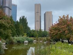 -大望京公园