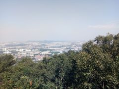 -紫金山天文台