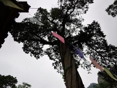 -北京上方山国家森林公园