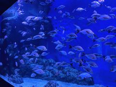 -成都浩海立方海洋公园