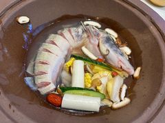 -鲜念蒸汽石锅鱼(红山6979店)