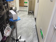 -德元·美联众合24小时动物医院(总院)
