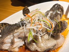 -綱元·海鲜豆捞(明州里店)