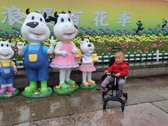 -杭州湾海上花田景区