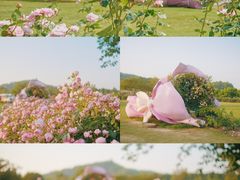 -上海辰山植物园