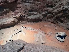 -浙江自然博物院(杭州馆)