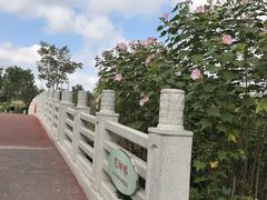 -柳鹭田园区