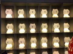 -line friends(明洞旗舰店)