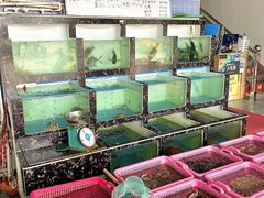 -众味海鲜大排档·活海鲜·潮汕味(南澳店)
