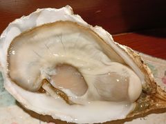 -桂马·日本料理·海胆·海鲜饭·酒场(民主广场店)