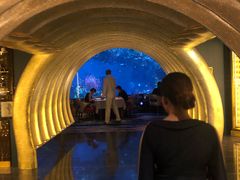 -迪拜帆船酒店海底餐厅