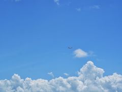 -澳门环岛游湾仔码头