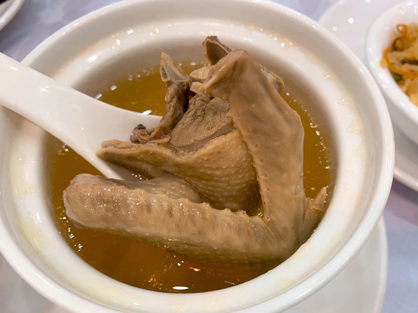 养生滋补鸽子霸王餐ʕ •ᴥ•ʔ-只看楼主-湛江吃喝玩乐-大