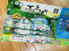 -西双版纳原始森林公园