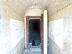 -黄埔油麻山森林公园