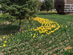 -长春公园(普阳街道)