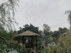 -成飞公园