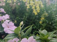 -首开·龙湖成都西宸天街