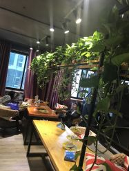 点击看大图 -藤野造型