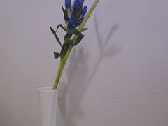 -竹子咖啡bamboo coffee
