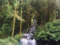 -井冈山风景名胜区-黄洋界