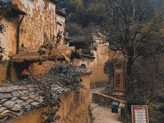 -杨家堂村