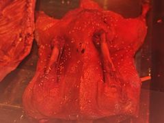 -水西门陈记鸭子店(总店)