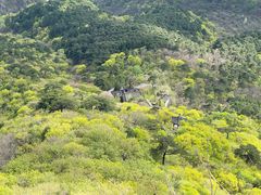 -妙峰山风景名胜区