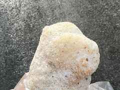 -丽华早点(大成路店)