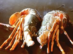 -麦MUGI铁板烧日式料理
