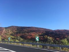 -北京鹫峰国家森林公园