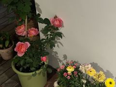 -凡老头米线砂锅(古荡新村西粮站)