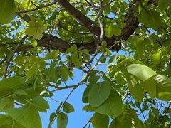 -北京大学(昌平校区)