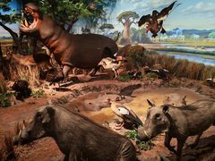 -陕西自然博物馆