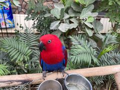 -南宫五洲植物乐园