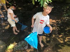 -重庆彩云湖湿地公园