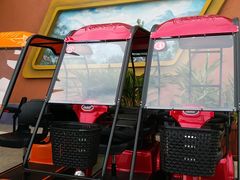 -世界恐龙谷景区