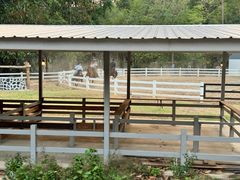 -清迈夜间动物园